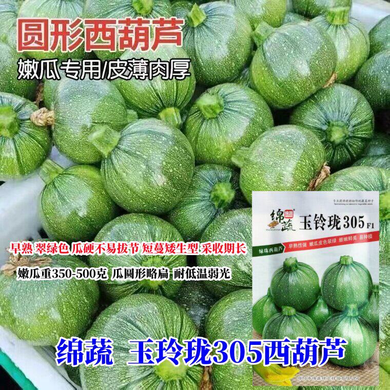 玉铃珑305西葫瓜种子早熟短蔓矮生型西葫芦扁圆形翠绿西葫芦种子