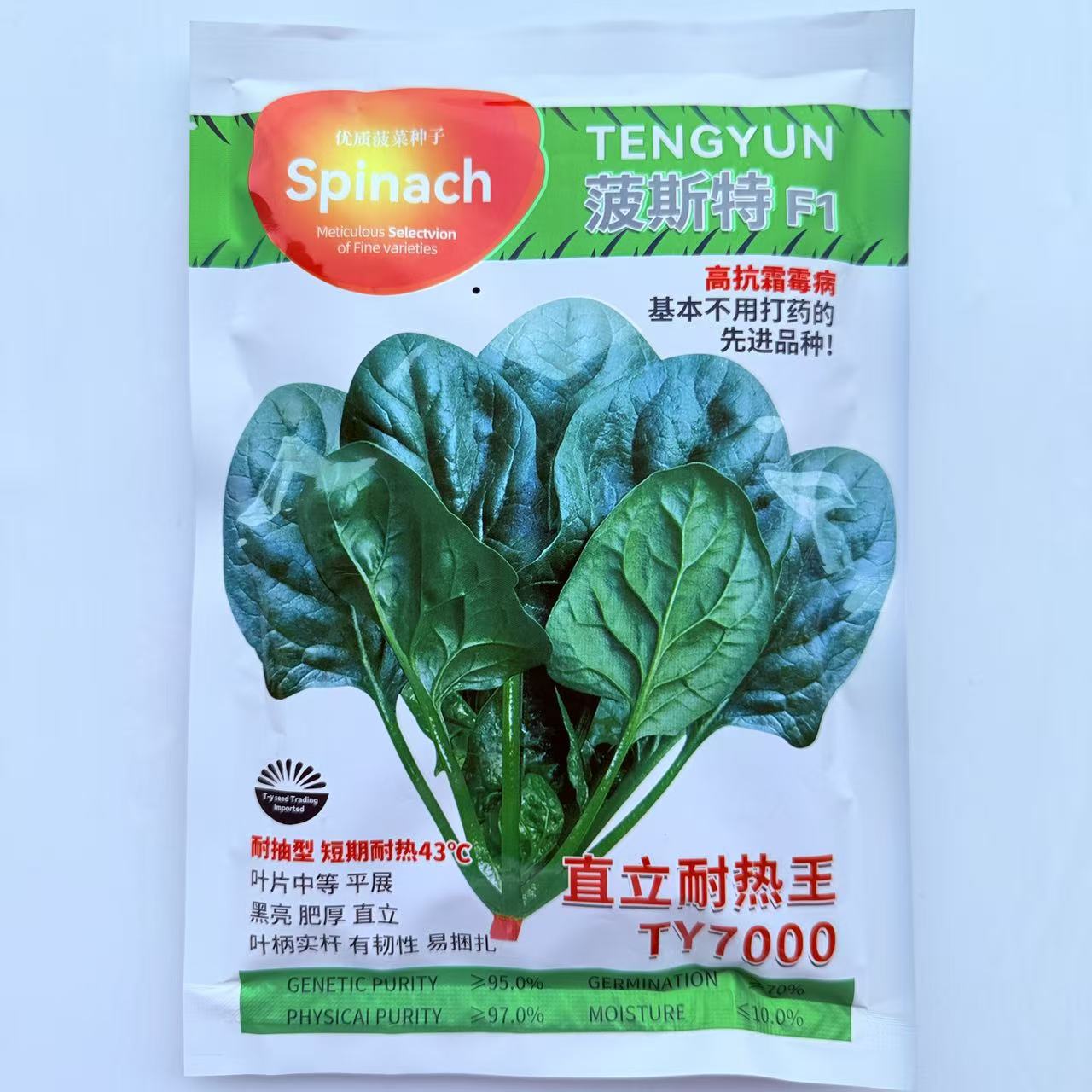菠斯特直立耐热王TY7000耐热菠菜种子300g黑亮叶实杆易捆扎菠菜籽