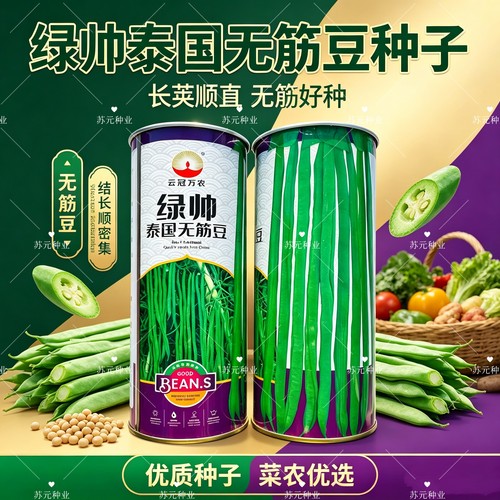 绿帅泰国无筋豆种子荚嫩无筋无纤维顺直抗病春秋播菜豆无筋豆种子