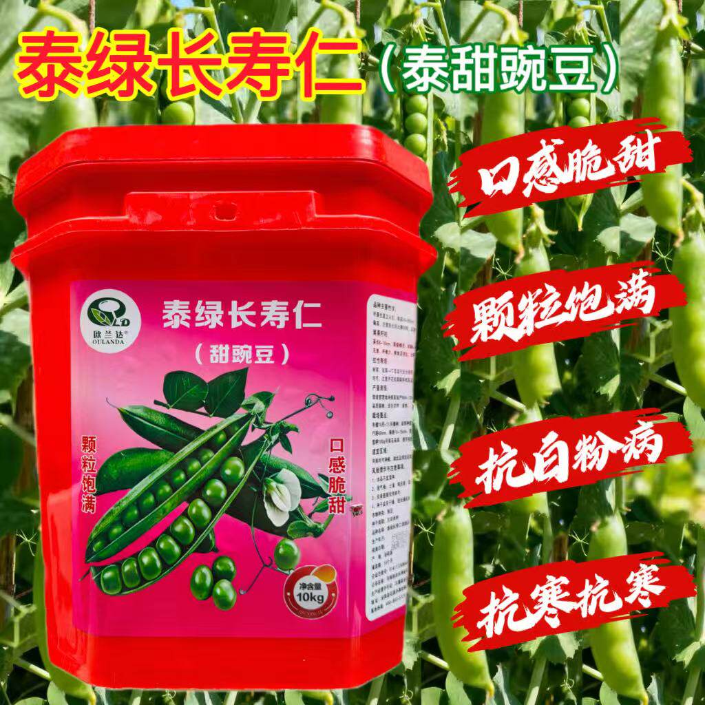 泰绿长寿仁甜豌豆种子高产一荚6-8粒南北方露天种植甜脆营养豌豆