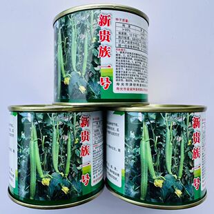 新贵族一号青皮青肉冬瓜种子肉厚肉嫩口感好耐储运耐运输蔬菜种子