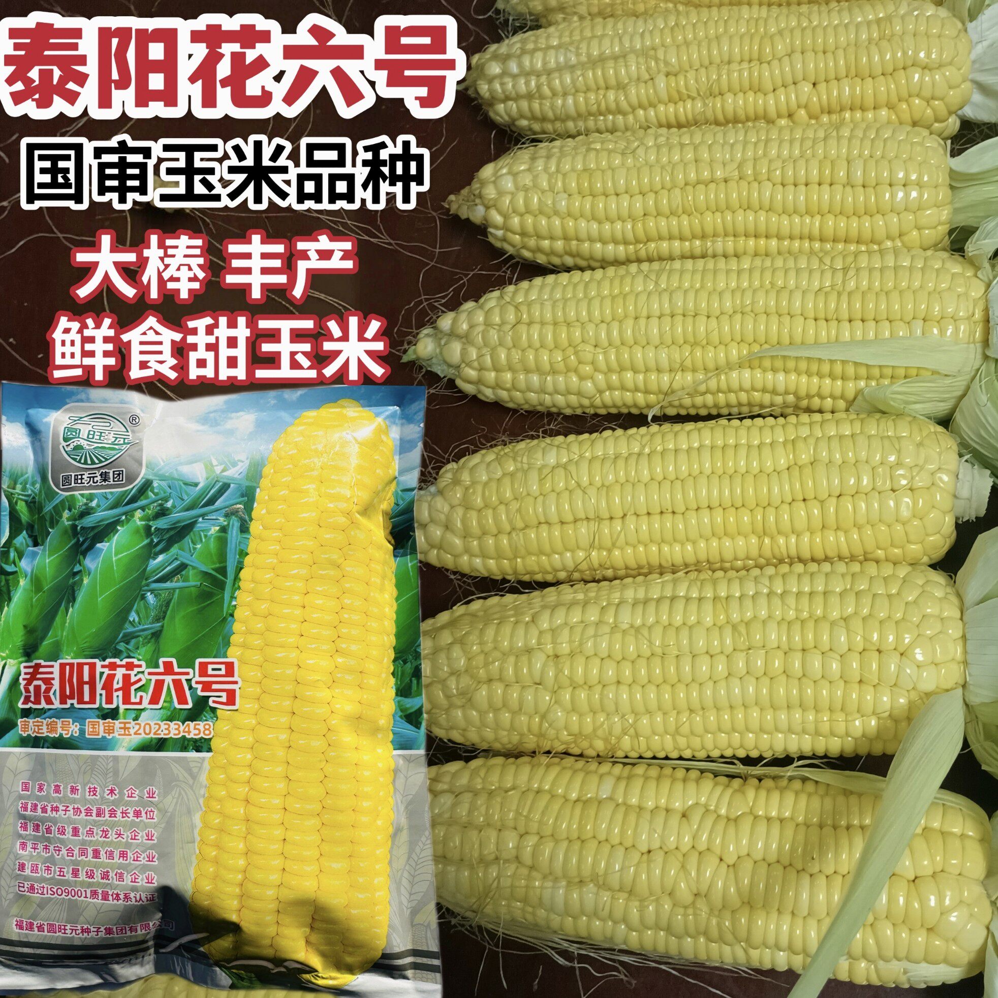 泰阳花六号甜玉米种子泰国超甜水果玉米种子早熟高产大棒玉米种籽