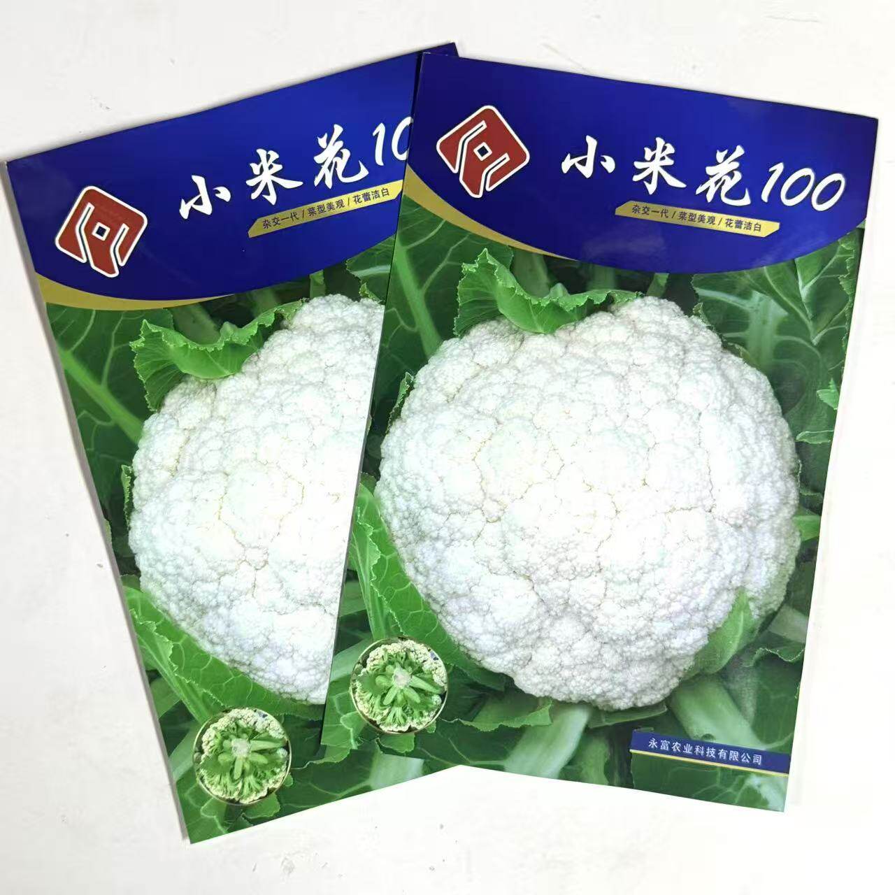 小米花100一代杂交晚熟松花菜种子花蕾洁白花球松大耐寒耐湿花