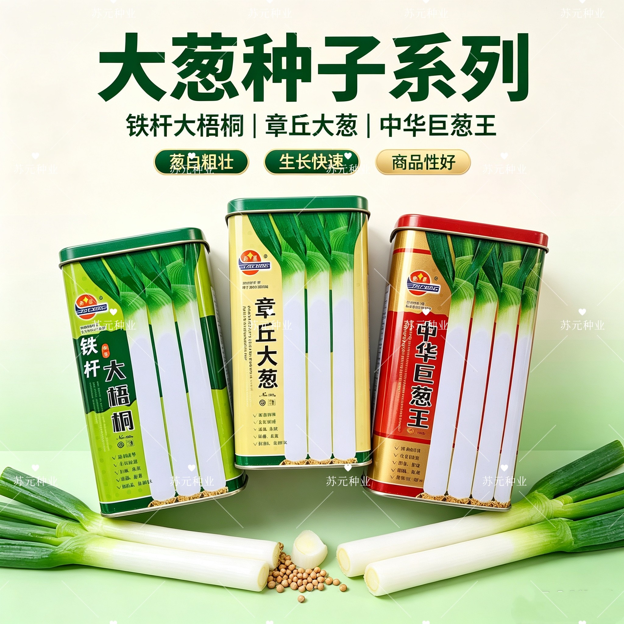 山东新泰章丘大葱铁杆大梧桐中华巨葱王大葱种子抗寒抗热抗倒扶
