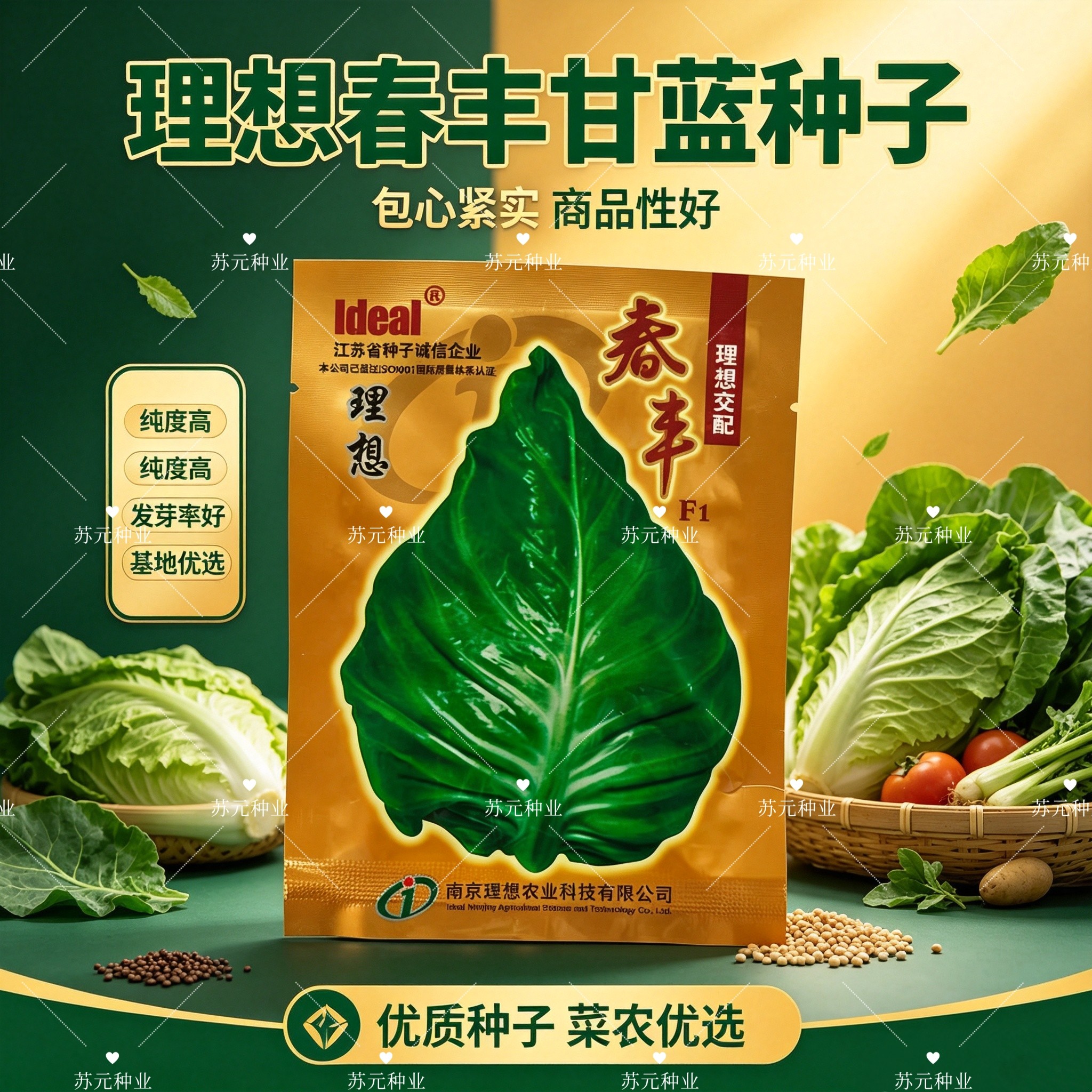 理想春丰甘蓝种子一代杂交卷心包菜鸡心牛心甘蓝种子早熟高产越冬