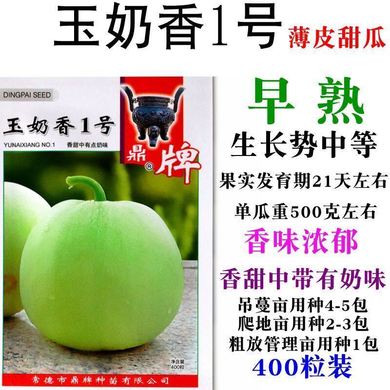 鼎牌玉奶香1号2号 薄皮甜瓜种籽四季水果种孑超甜早熟种子香瓜种
