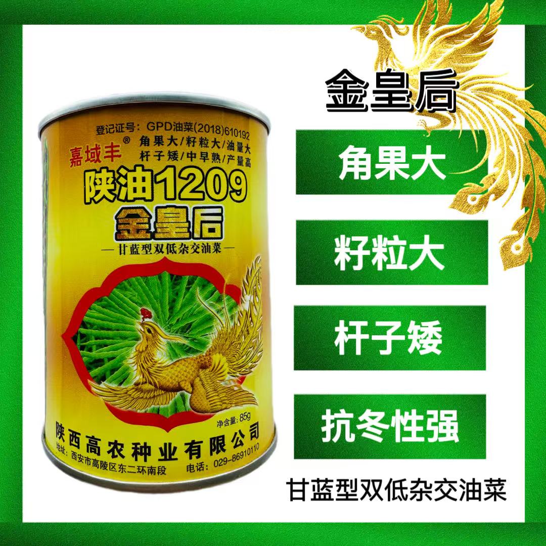 陕油1209金皇后油菜种子油专用抗旱高产杂交种子非转基因优质油料