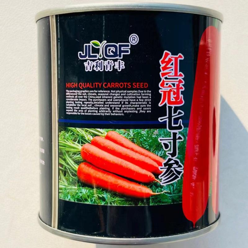 红冠七寸胡萝卜种子秋季好吃胡萝卜种子