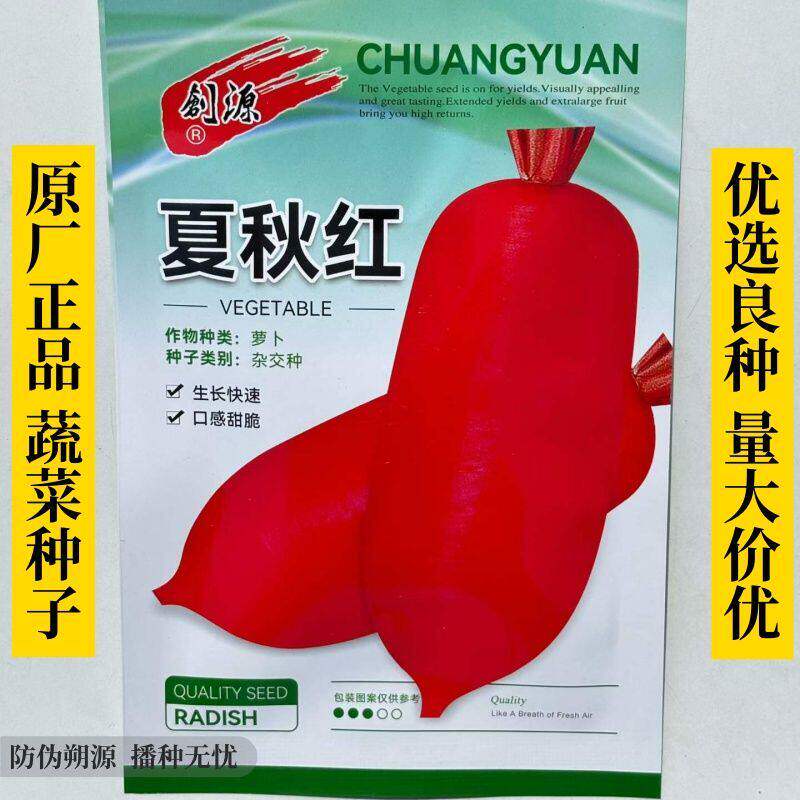 夏秋红萝卜种子耐热早熟萝卜种籽口感甜脆不易糠心高产家用大田种