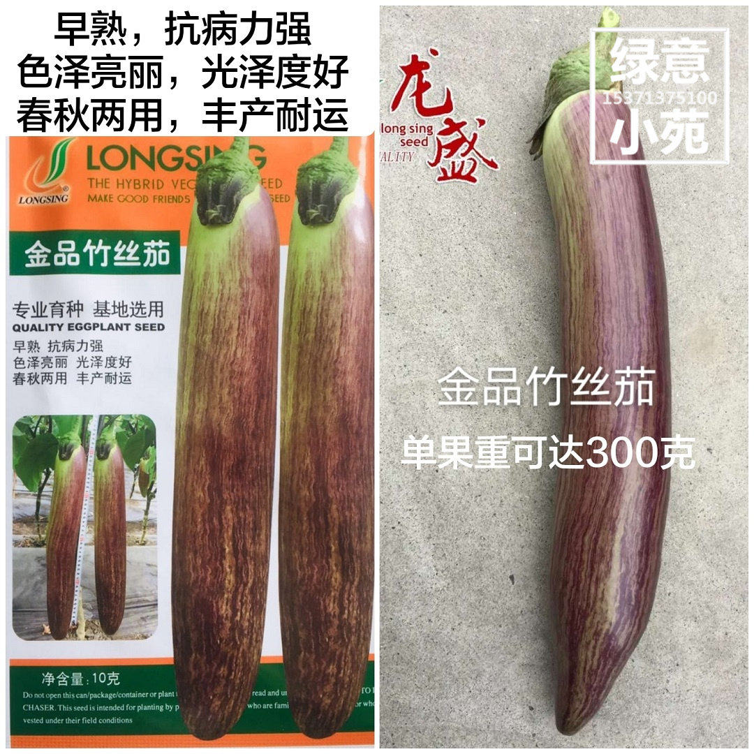 金品竹丝茄种子 早熟高产茄子杂交种子 春秋长棒形茄子种孑籽