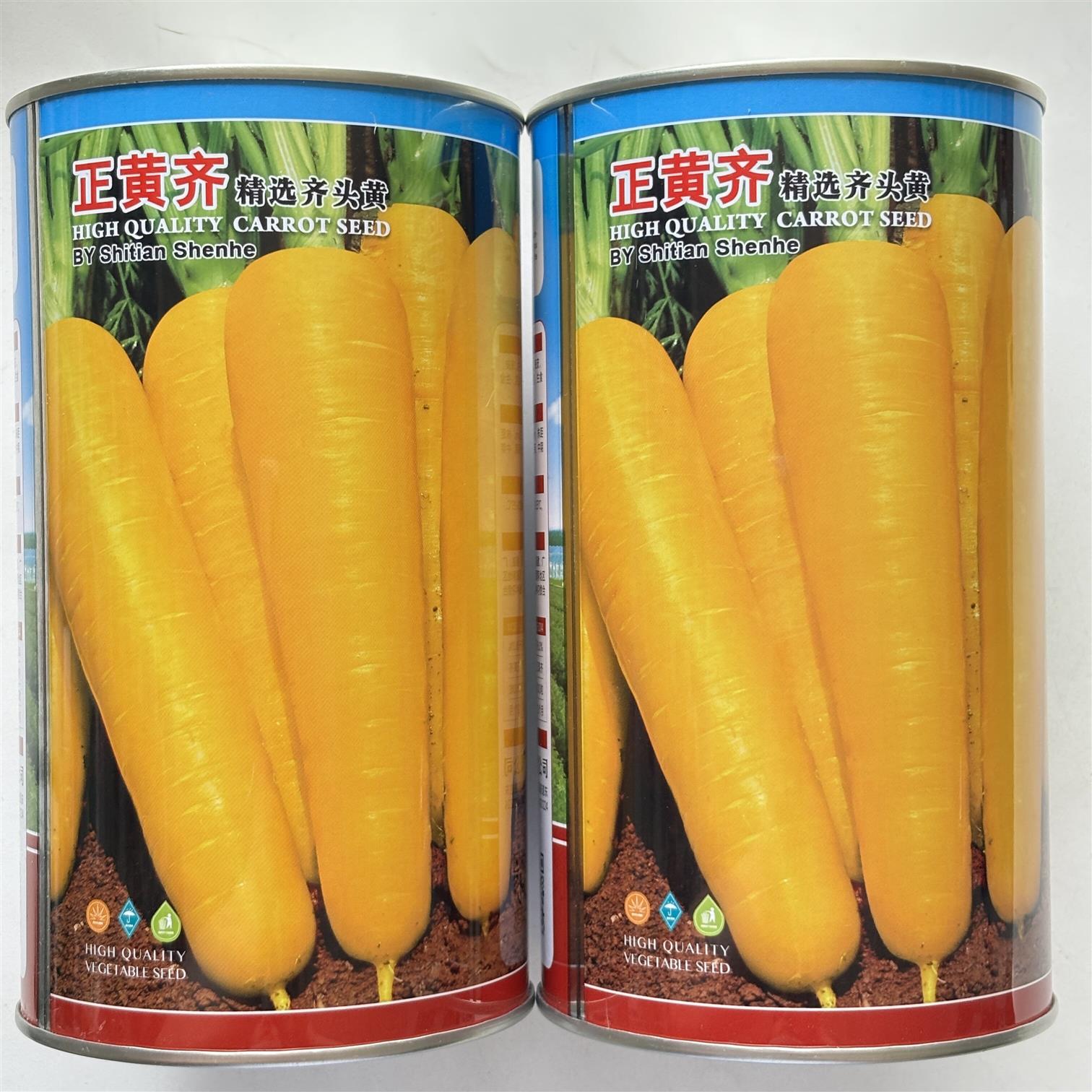 正黄齐胡萝卜种子黄皮黄肉齐头黄萝卜种子高产春秋播种蔬菜种籽子