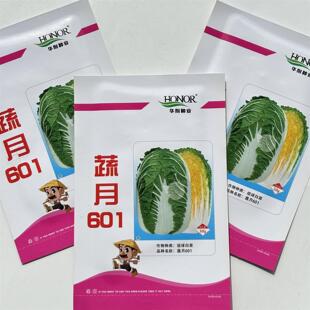 蔬月601白菜种子黄心大白菜直筒型抗寒耐抽苔内叶深黄大白菜蔬菜
