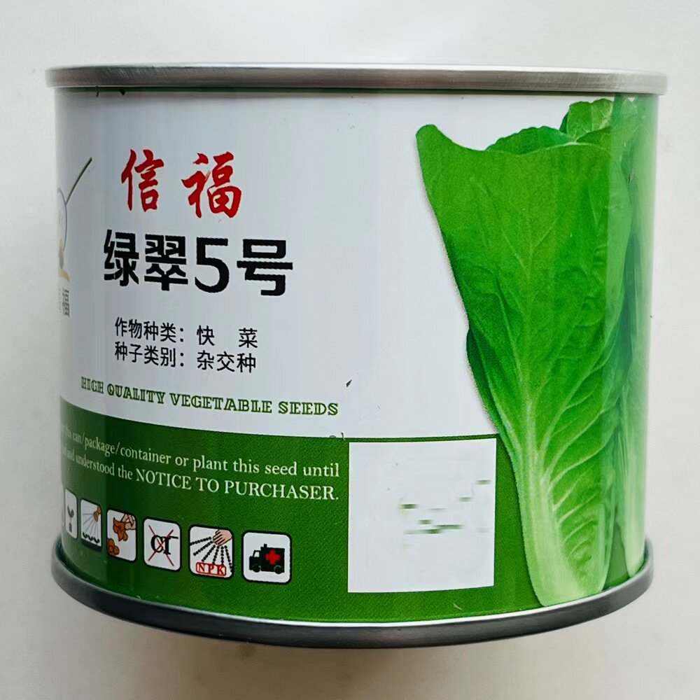 快菜种籽绿翠5号无毛白菜种子抗病耐热耐湿四季播种青菜蔬菜种孑