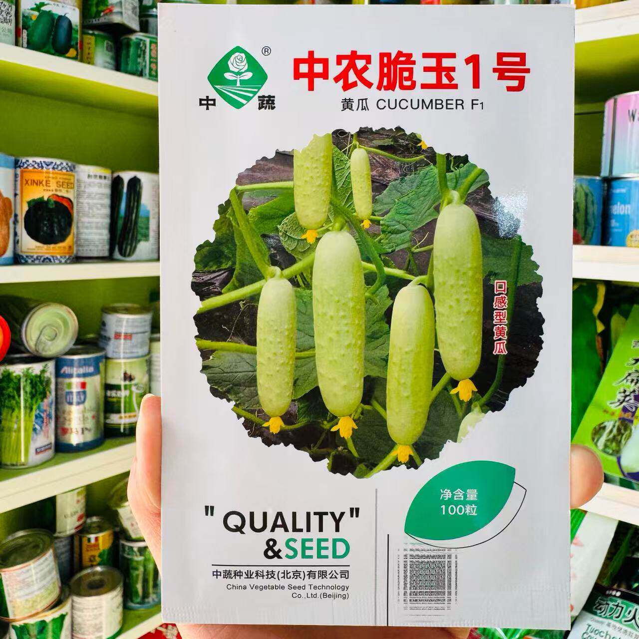 中农脆玉1号黄瓜种子 春秋白色小黄瓜籽把短无棱无纹心腔小蔬菜籽