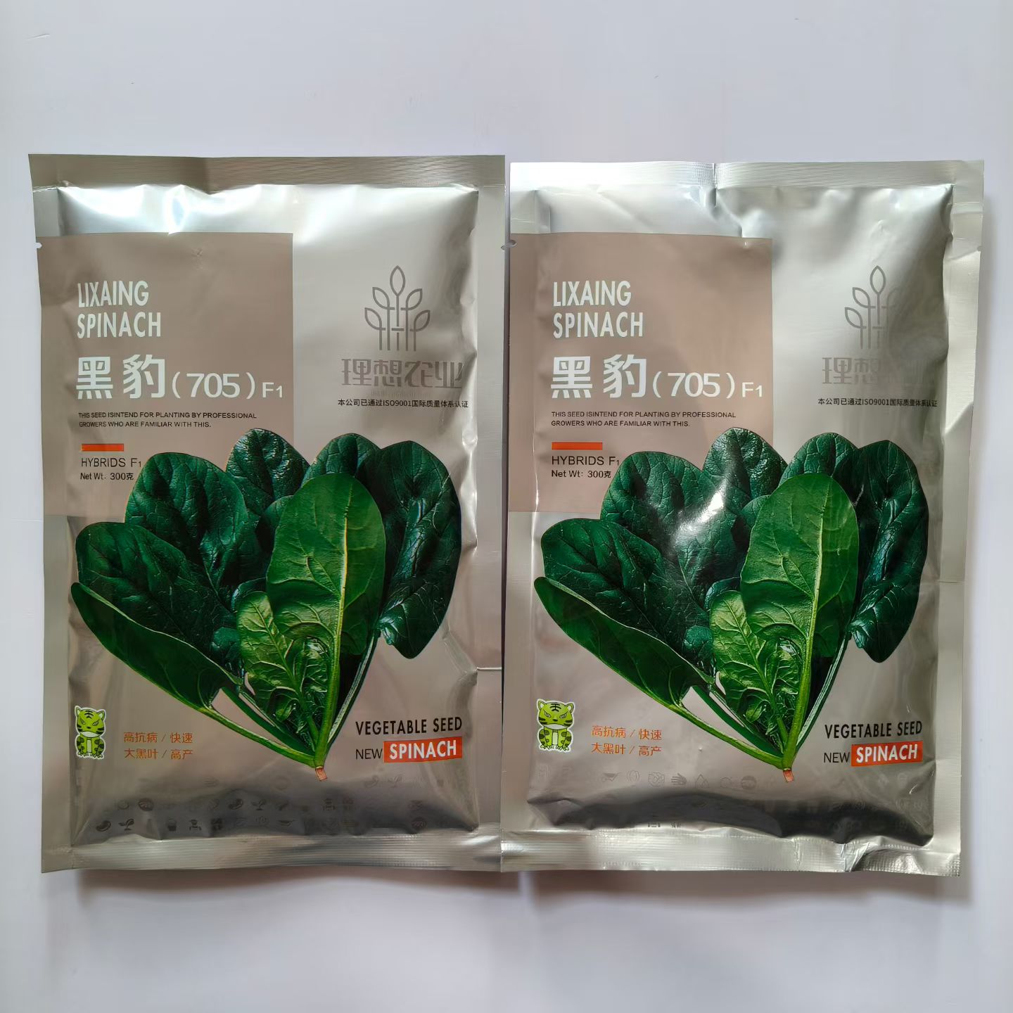 黑豹(705)F1大黑叶菠菜种子高抗病高产耐热耐寒春秋播黑菠菜种籽