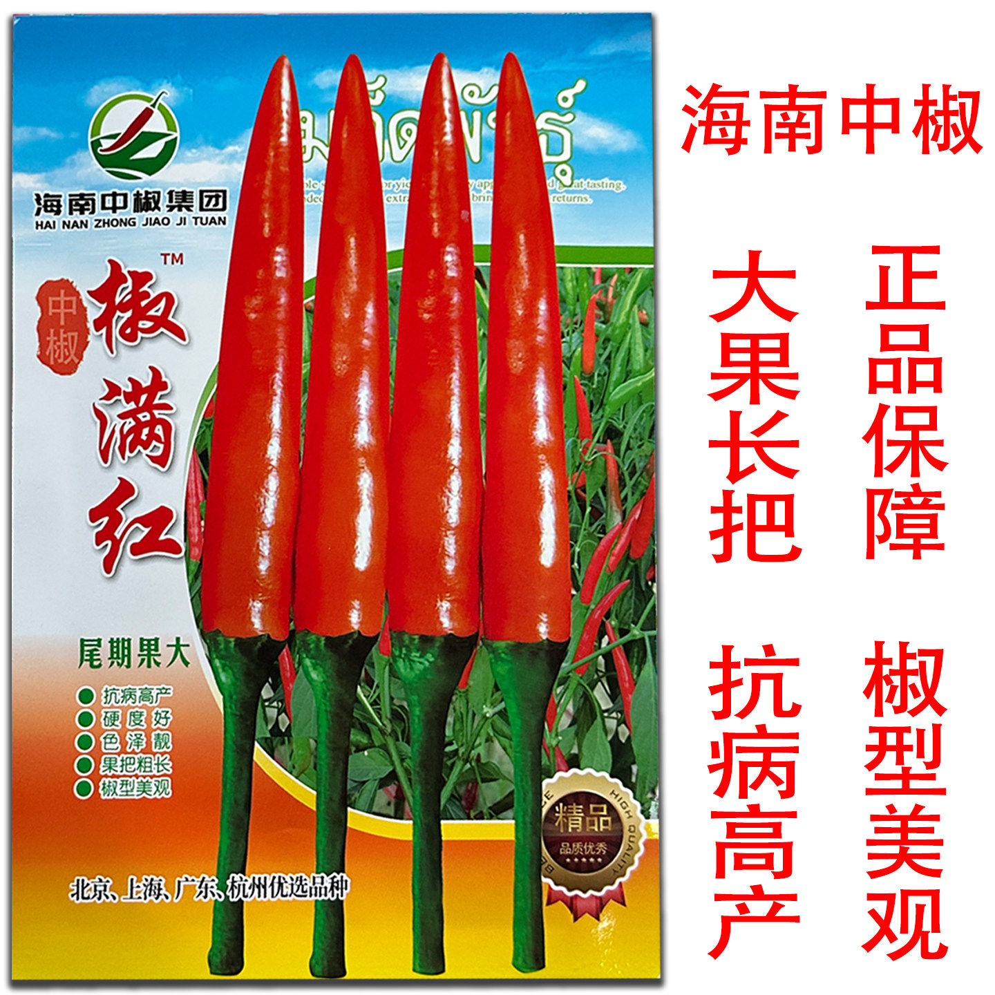 椒满红中晚熟大果单生朝天椒种子抗病高产果把粗长硬度好尾期果大