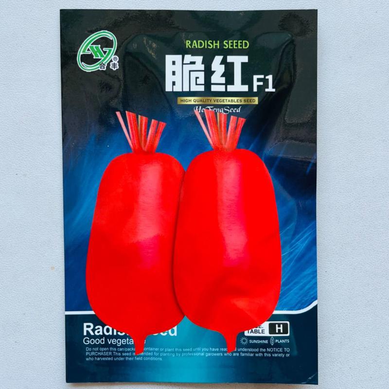脆红满身红萝卜红皮种子大红袍种籽白肉耐热高产白心夏秋播种