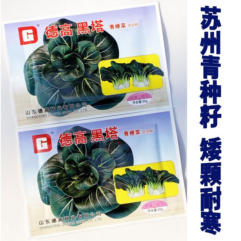 德高黑塔青梗菜种子特矮苏州青叶色墨绿叶柄深绿抗寒纤维少黑叶菜