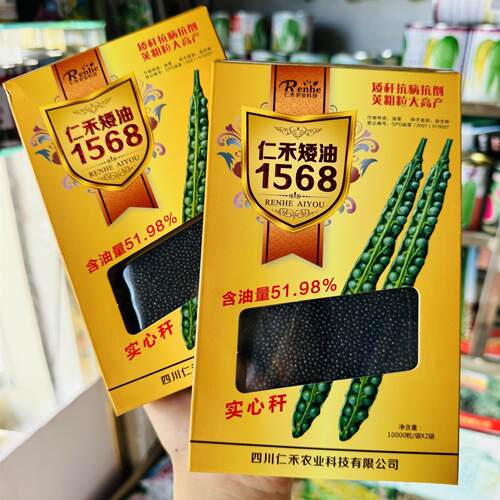 仁禾矮油1568油菜种子高产抗病矮杆抗倒荚大油菜籽种籽农家春秋播
