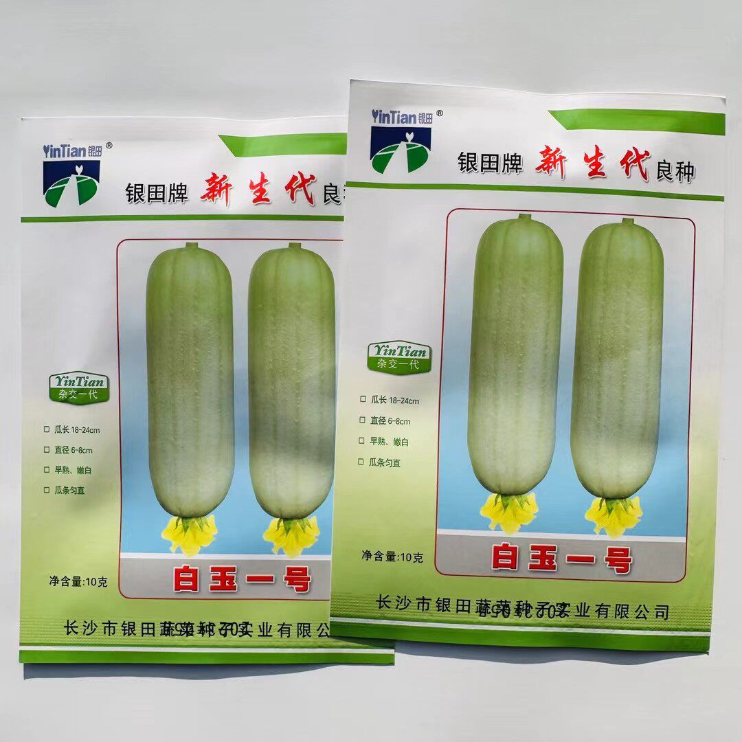 银田牌白玉一号丝瓜种子早熟嫩白短棒型肉香丝瓜种籽春秋播种高产