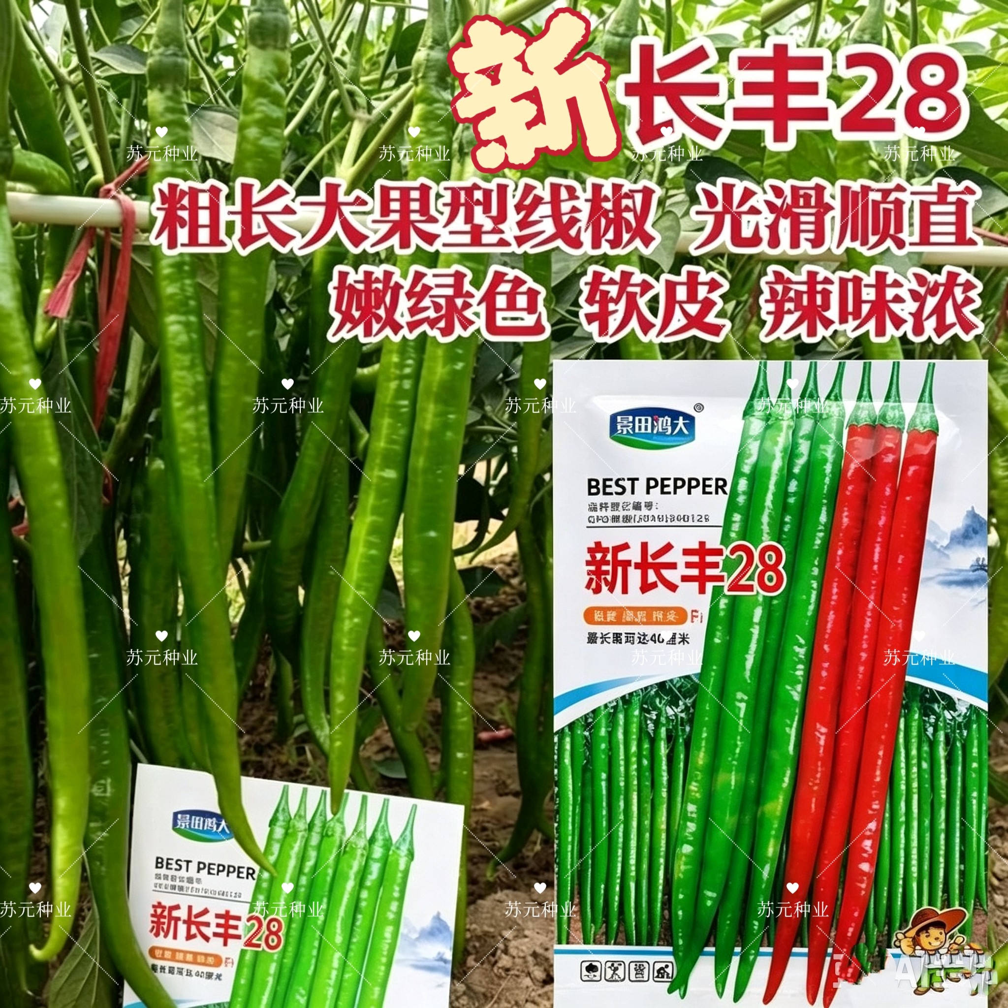 新长丰28辣椒种子杂交中早熟高产长线椒种籽尖椒辣椒蔬菜种籽