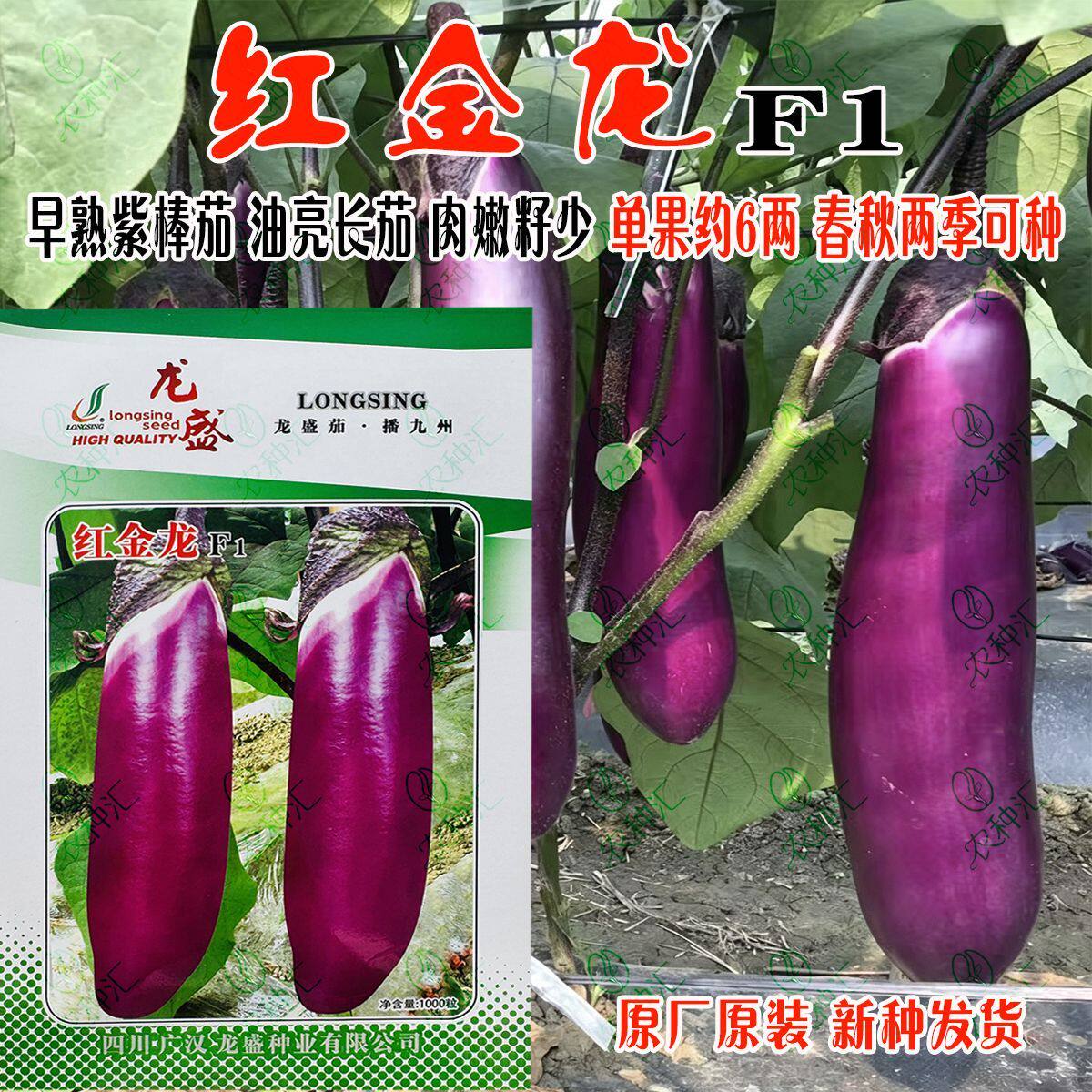 龙盛红金龙茄子种子早熟果实艳商品性好抗病高产红茄子蔬菜种籽子
