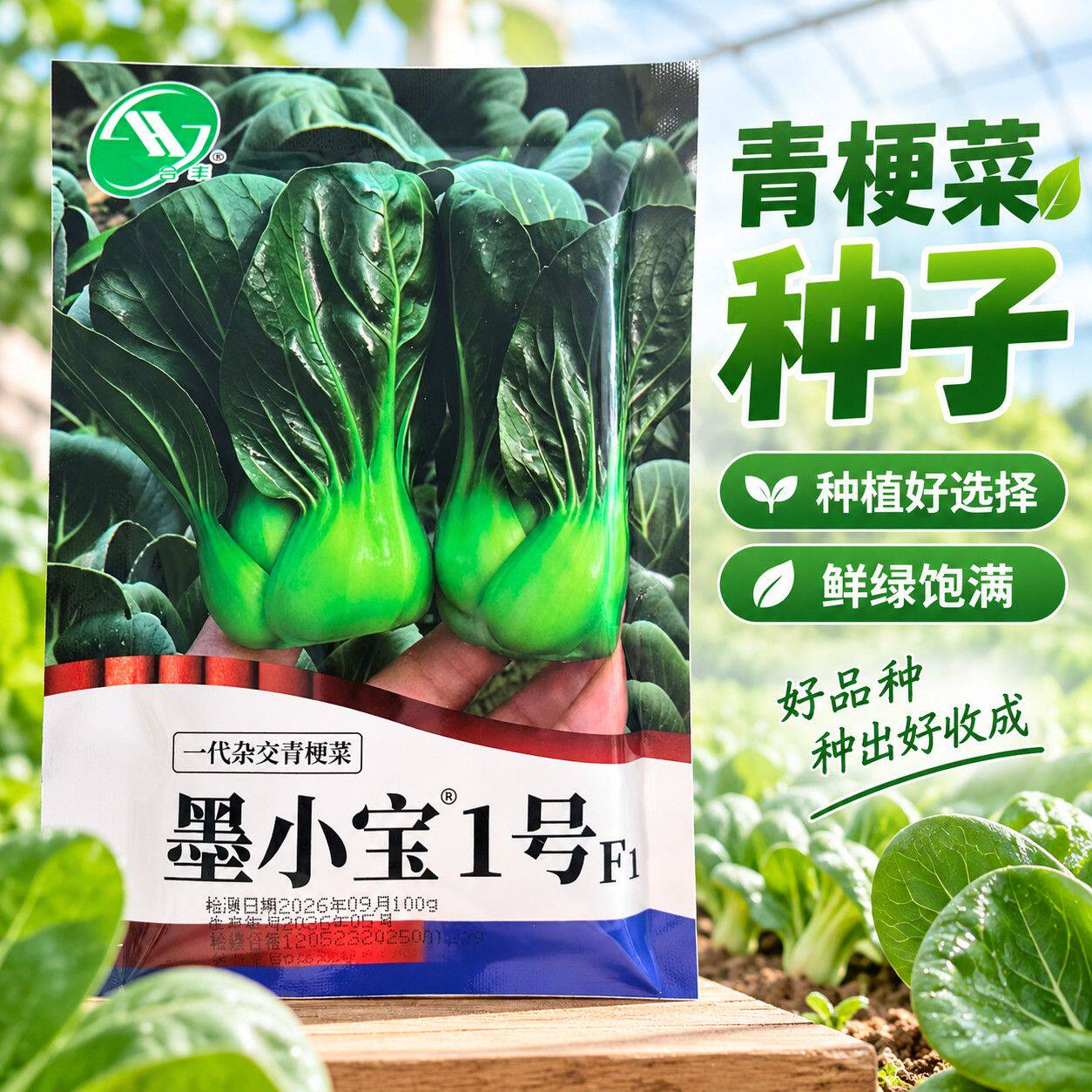 墨小宝青仔1号青菜种子黑叶青梗菜籽小青仔矮脚小棵型苏州青菜籽