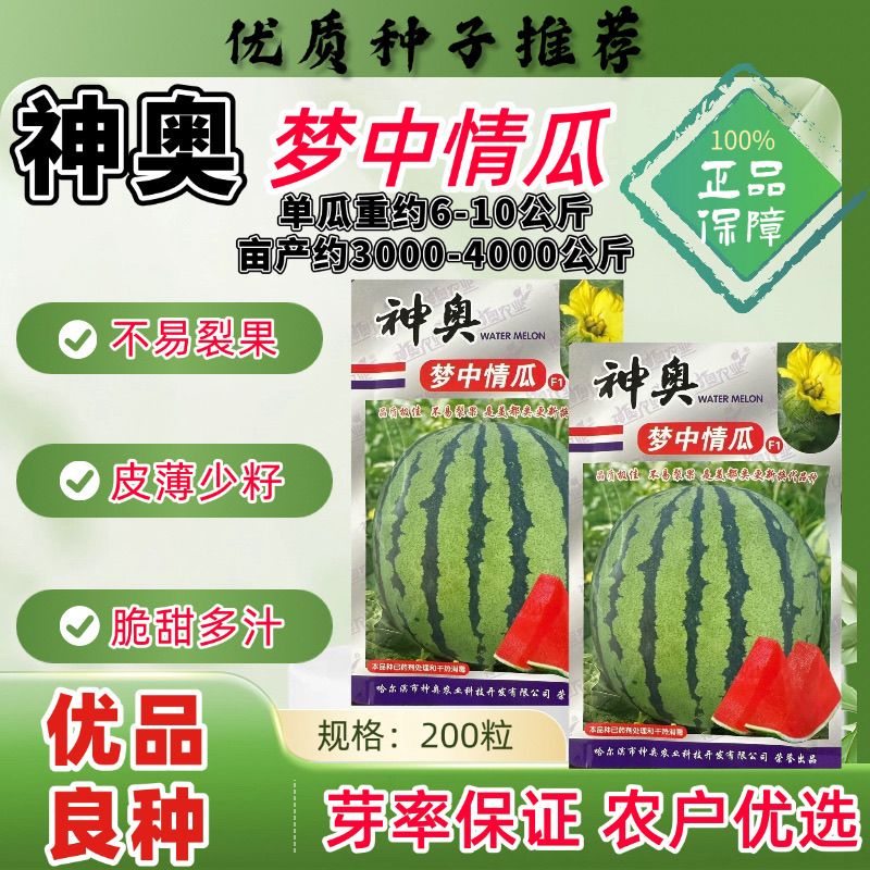 梦中情瓜西瓜种子早熟高产抗病耐热耐寒春秋播西瓜种籽基地选