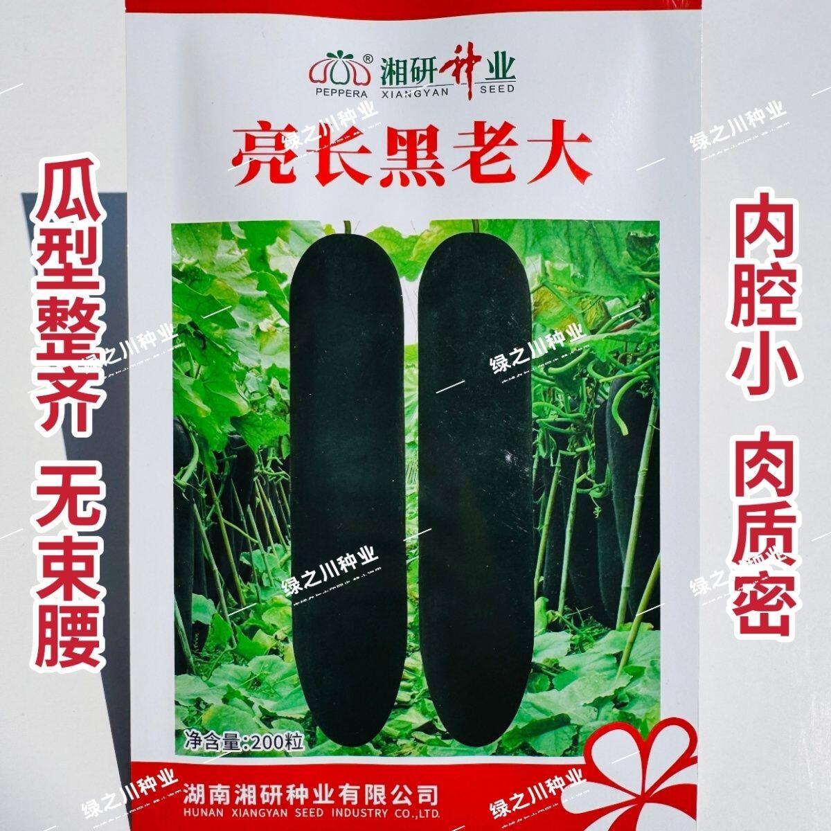 湘研亮长黑老大冬瓜种子特大高产黑皮冬瓜种籽大全铁心大冬瓜种子