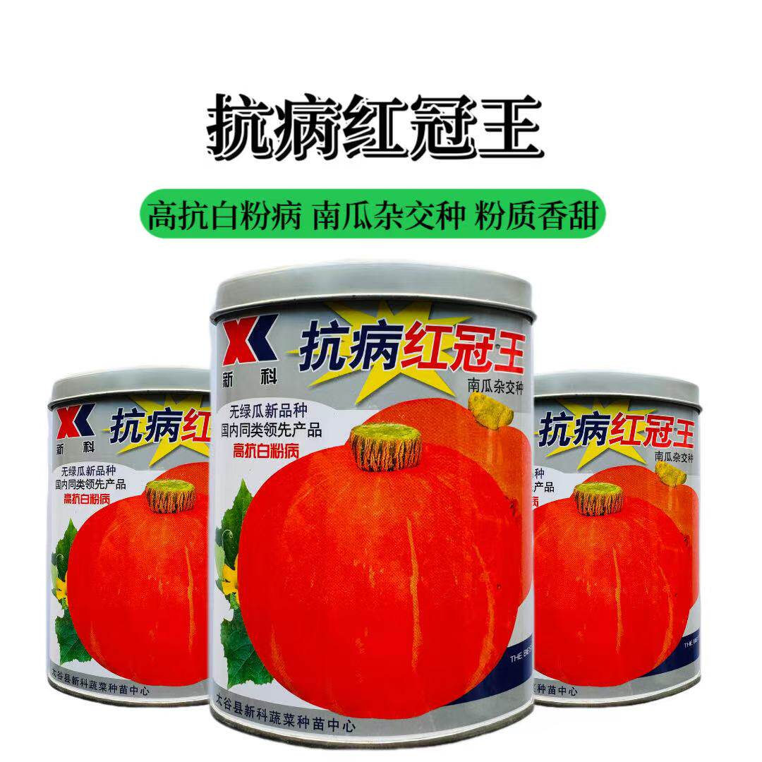 红板栗南瓜种子抗病红冠王超甜南瓜种孑南北方阳台盆栽庭院春夏播