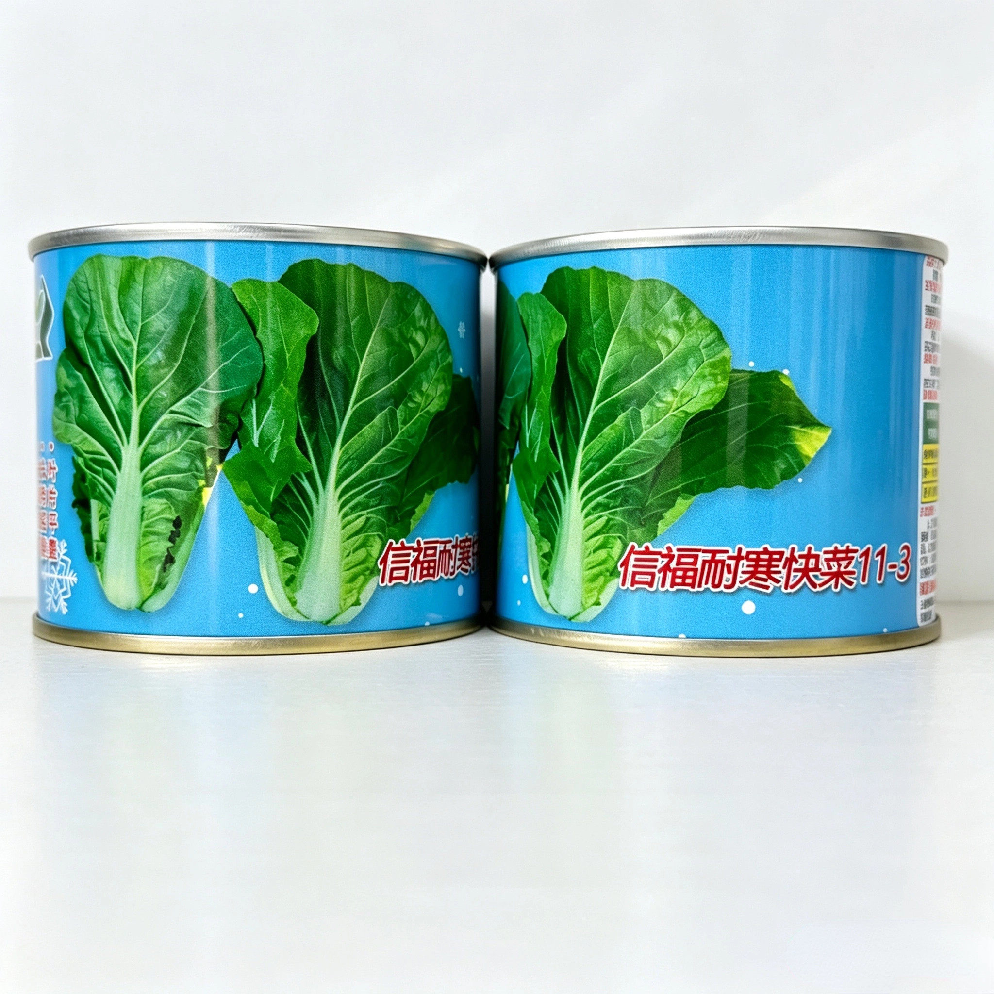 信福耐寒快菜11-3快菜种子抗病不结球白菜种籽春秋播叶深绿梗翠绿