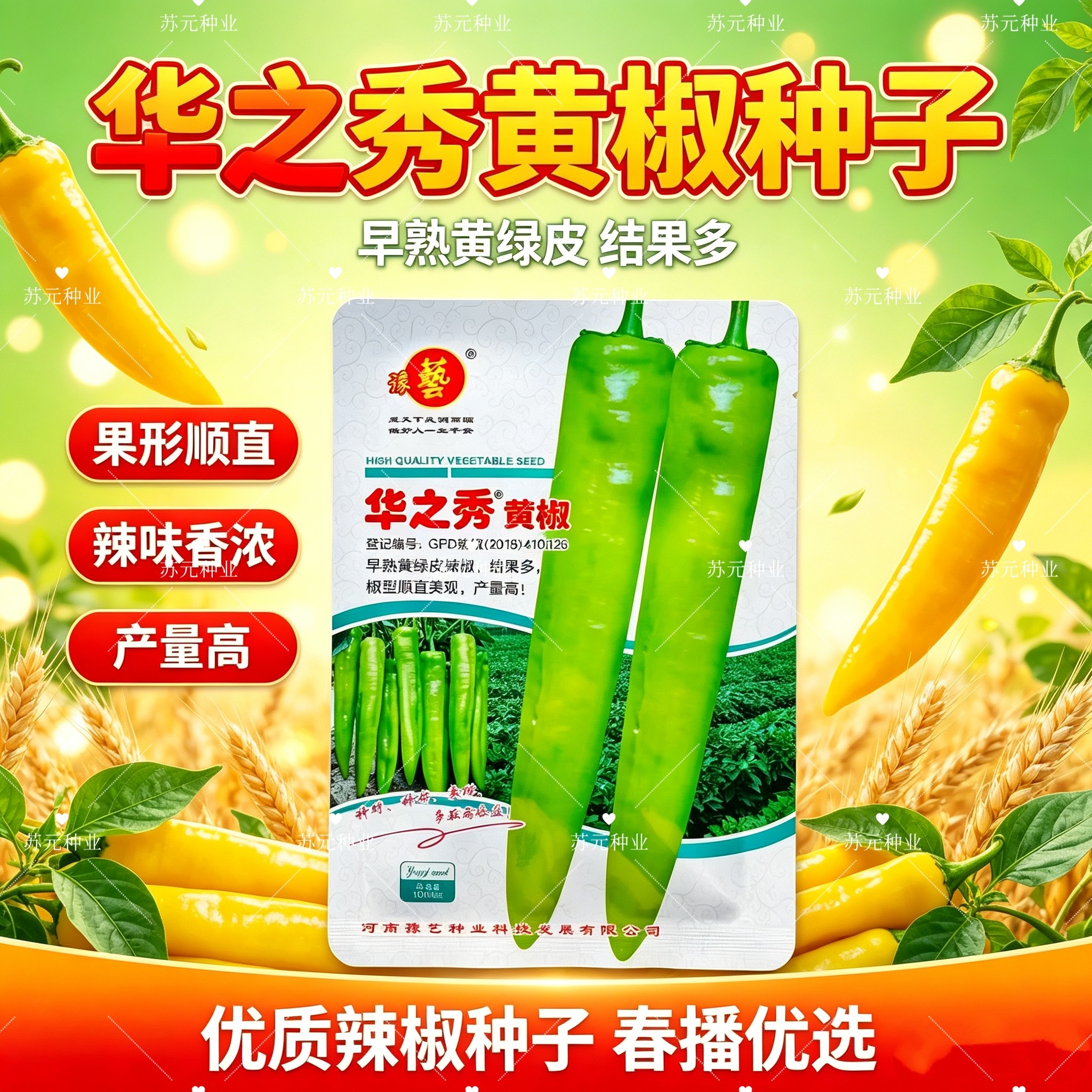 华之秀黄椒种子早熟黄绿皮尖椒种子味较辣长果黄绿皮羊角椒种子