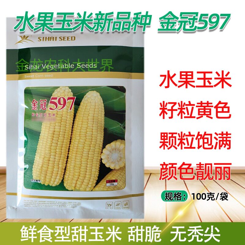 【金冠597】中熟大棒非转基因超甜鲜食玉米四海水果玉米种子/100g