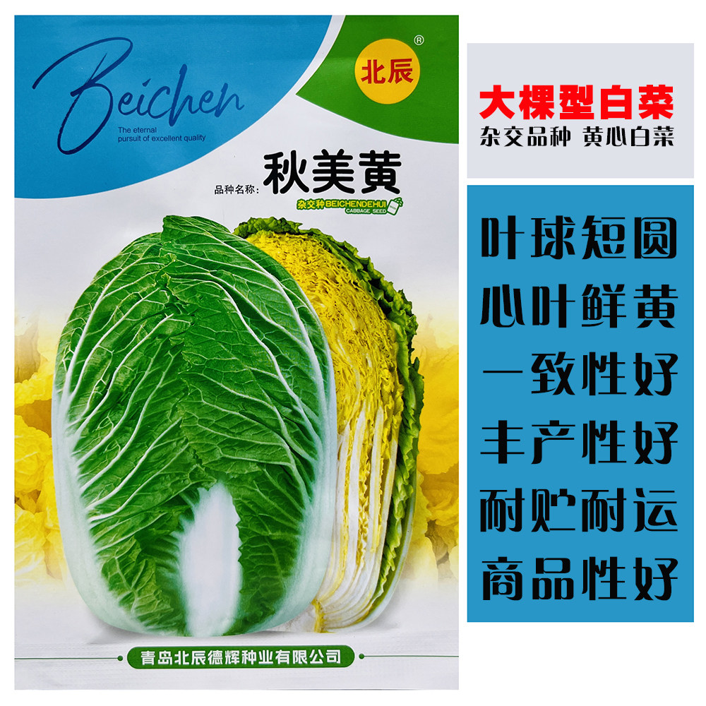 秋美黄杂交黄心大白菜种子抗病耐寒高产白菜种籽农家秋季播种孑