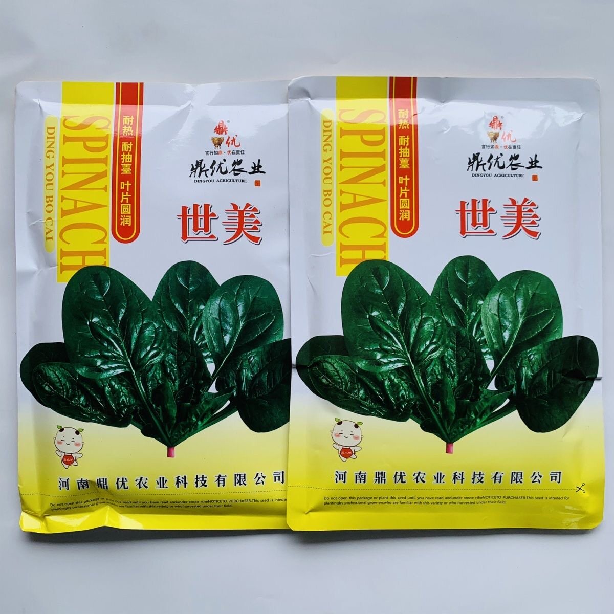 世美菠菜种子直立型叶色浓绿丰产高抗霜霉病优质波菜蔬菜种籽