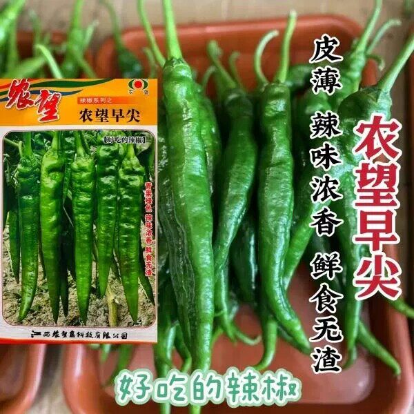 农望早尖辣椒种子早熟羊角形辣椒种籽皮薄味辣基地专用良种1000粒