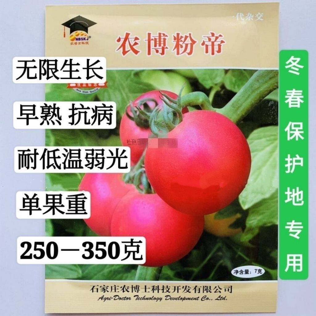 农博粉帝番茄种子无限生长型粉果番茄种子耐低温口感好西红柿种子