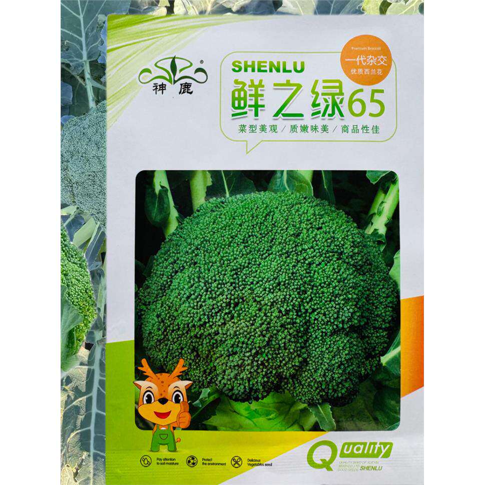 神鹿中熟品种优秀西兰花花椰菜一代杂交花蕾细腻适应性广四季蔬菜