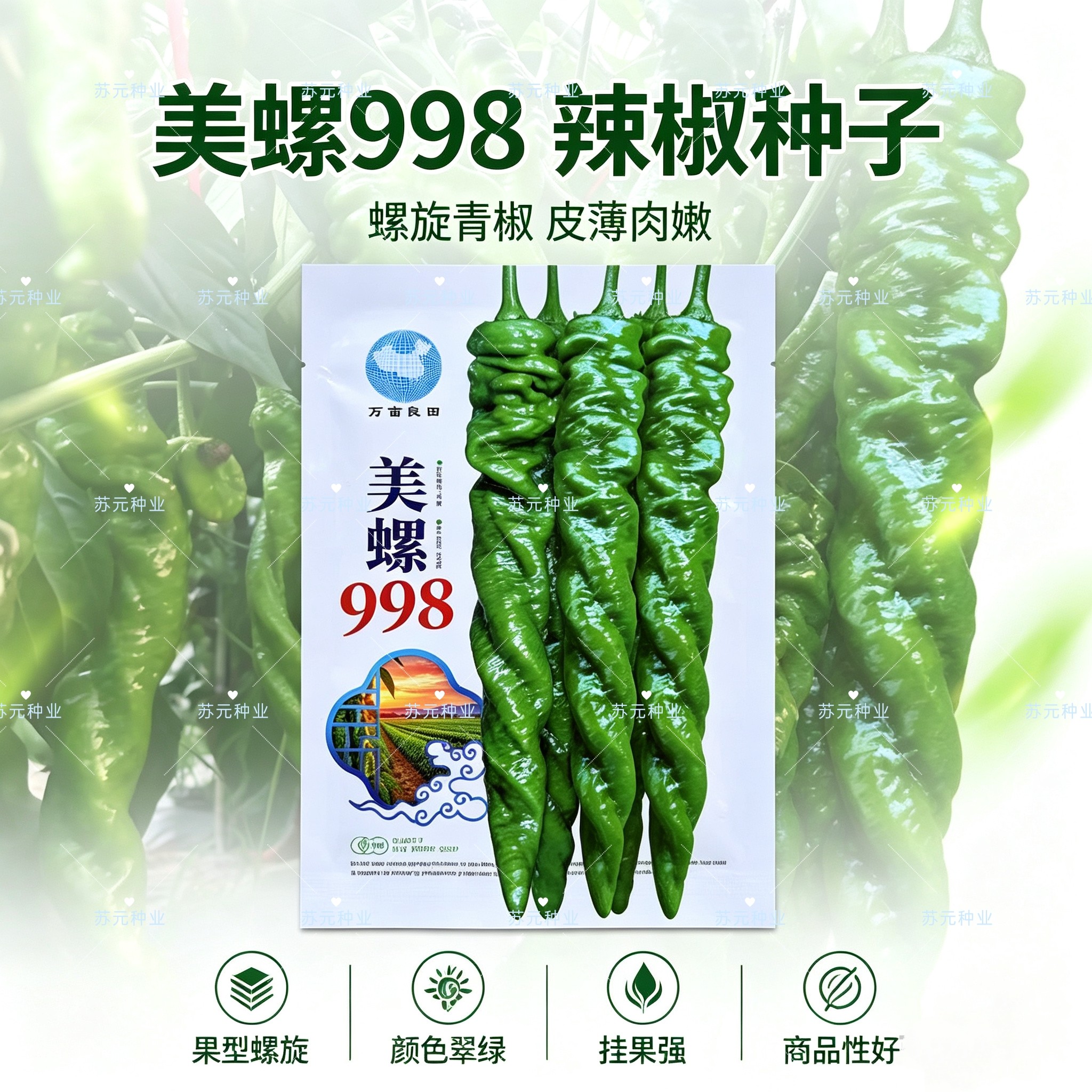 美螺998大果型螺丝椒辣椒种子早中熟高产抗病强味较辣辣椒种籽孑