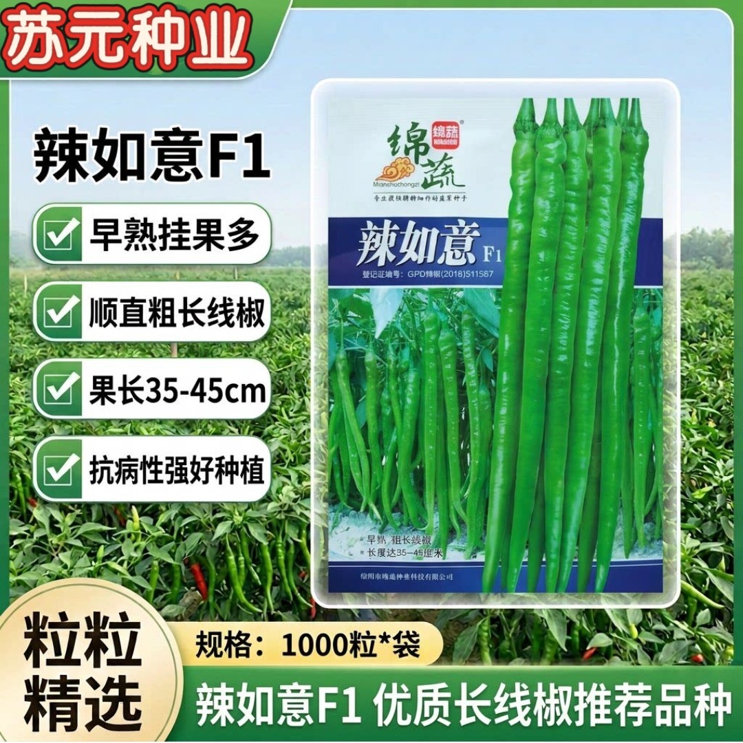 绵蔬辣如意早中熟杂交线椒种子中辣宜青椒鲜食红椒加工辣椒酱种籽