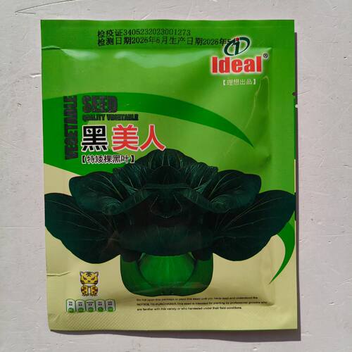 理想黑美人苏菲娜杂交苏州青种子抗病软烂香甜耐寒秋冬季蔬菜种籽