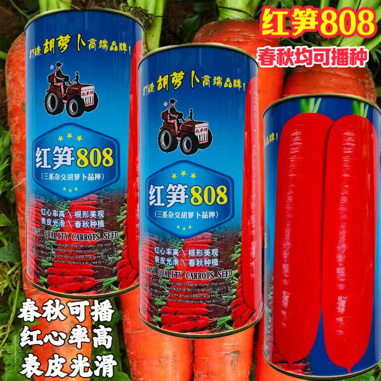 红笋808 胡萝卜种子早熟高产萝卜种籽红萝卜春秋大田用种孑