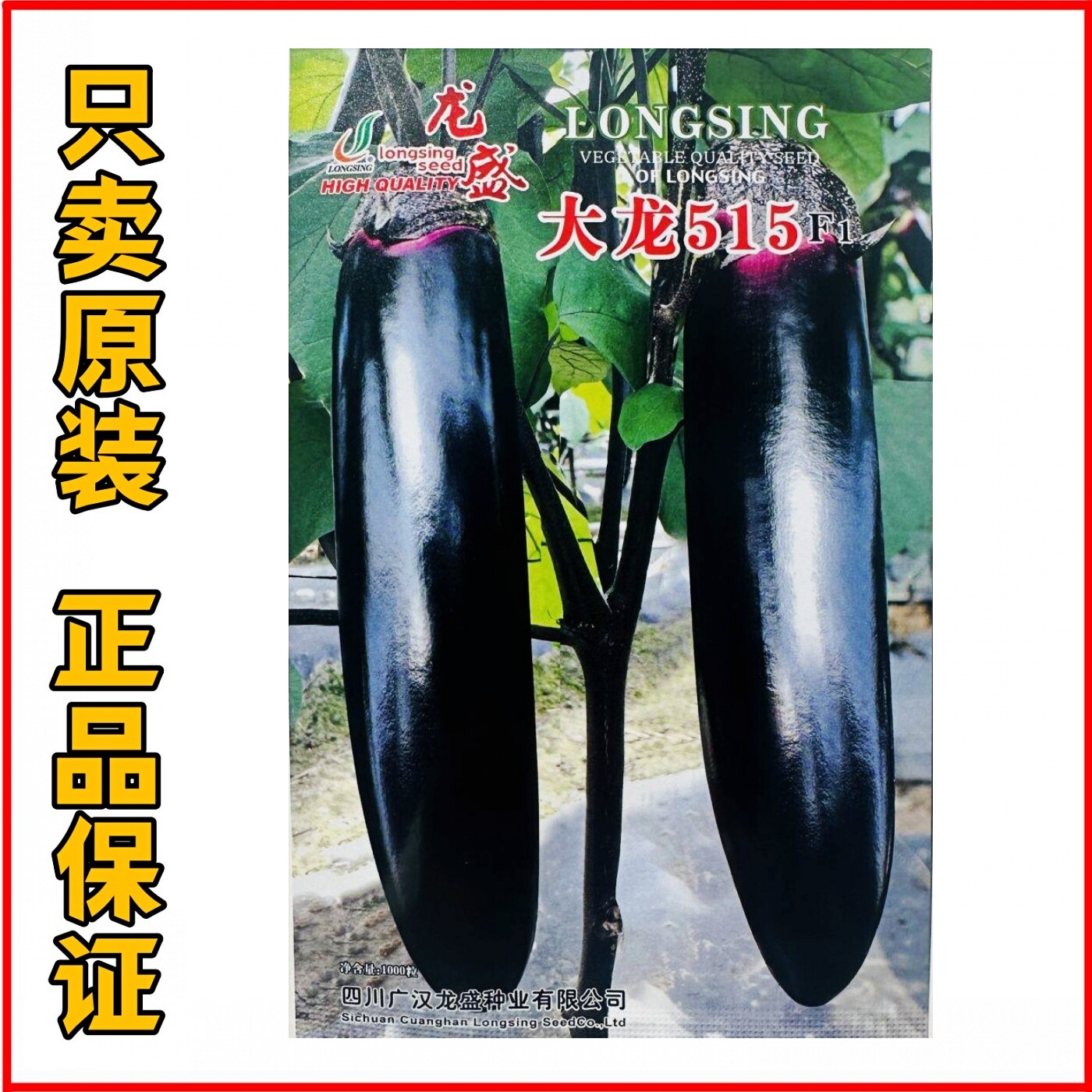 烧烤茄种子四川大龙515粗棒型茄子种子软糯清香好吃烧烤茄子