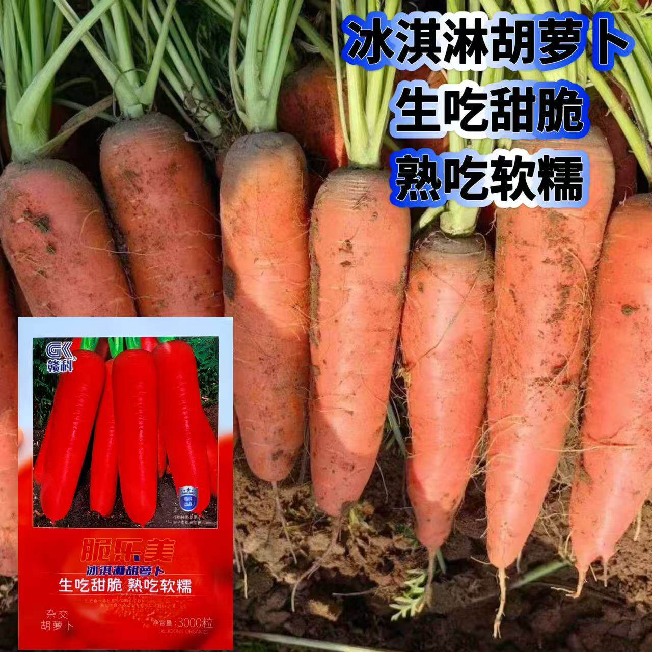 脆乐美冰淇淋胡萝卜 三红胡萝卜种子水果春秋季四季田园蔬菜种子