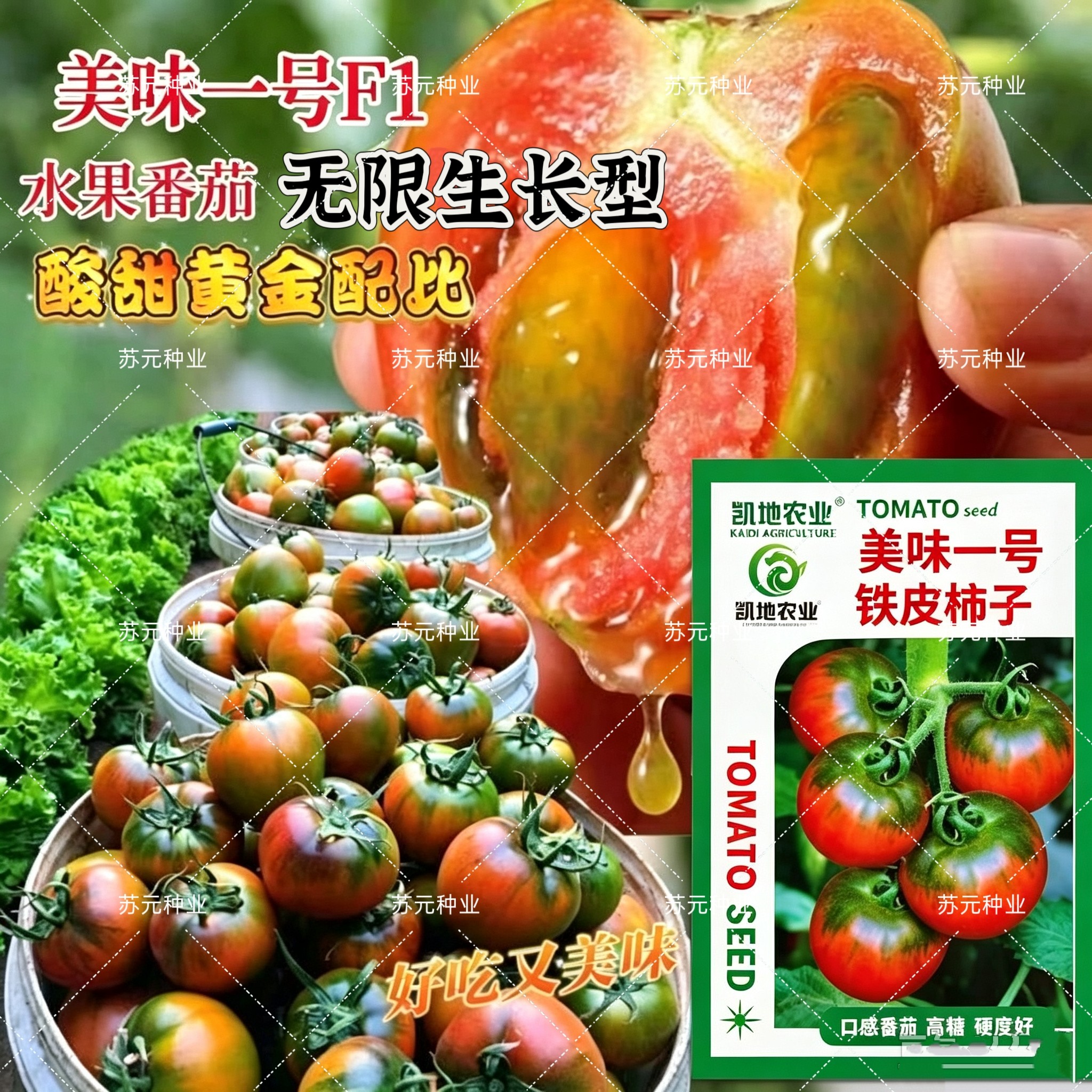 美味一号铁皮柿子种子无限生长型成熟果粉红色口感番茄高糖硬度好