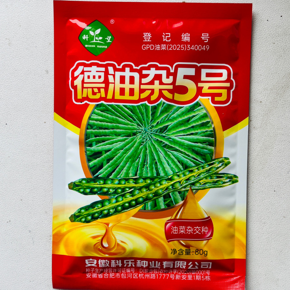 德油杂5号油菜种子杂交中早熟抗倒伏油菜籽种籽榨油油菜花种孑籽