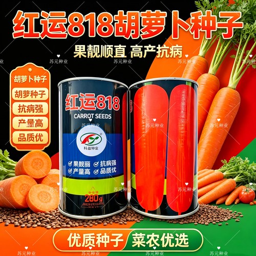 科益红运818三红胡萝卜种子中早熟长锥形春秋抗病高产红心胡萝卜