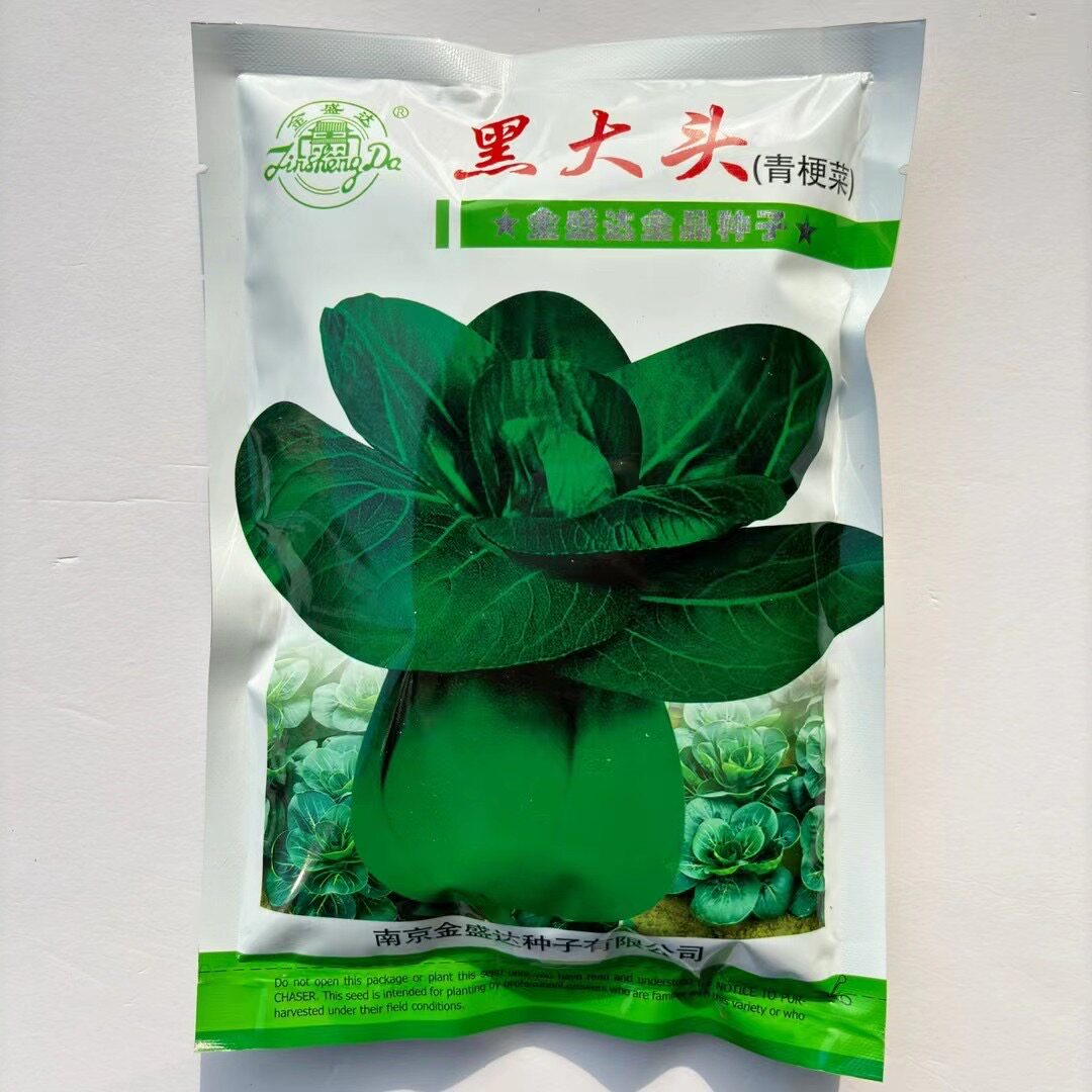 黑大头青梗菜种子农家春秋播青菜种籽菜园阳台盆栽小青菜蔬菜种孑