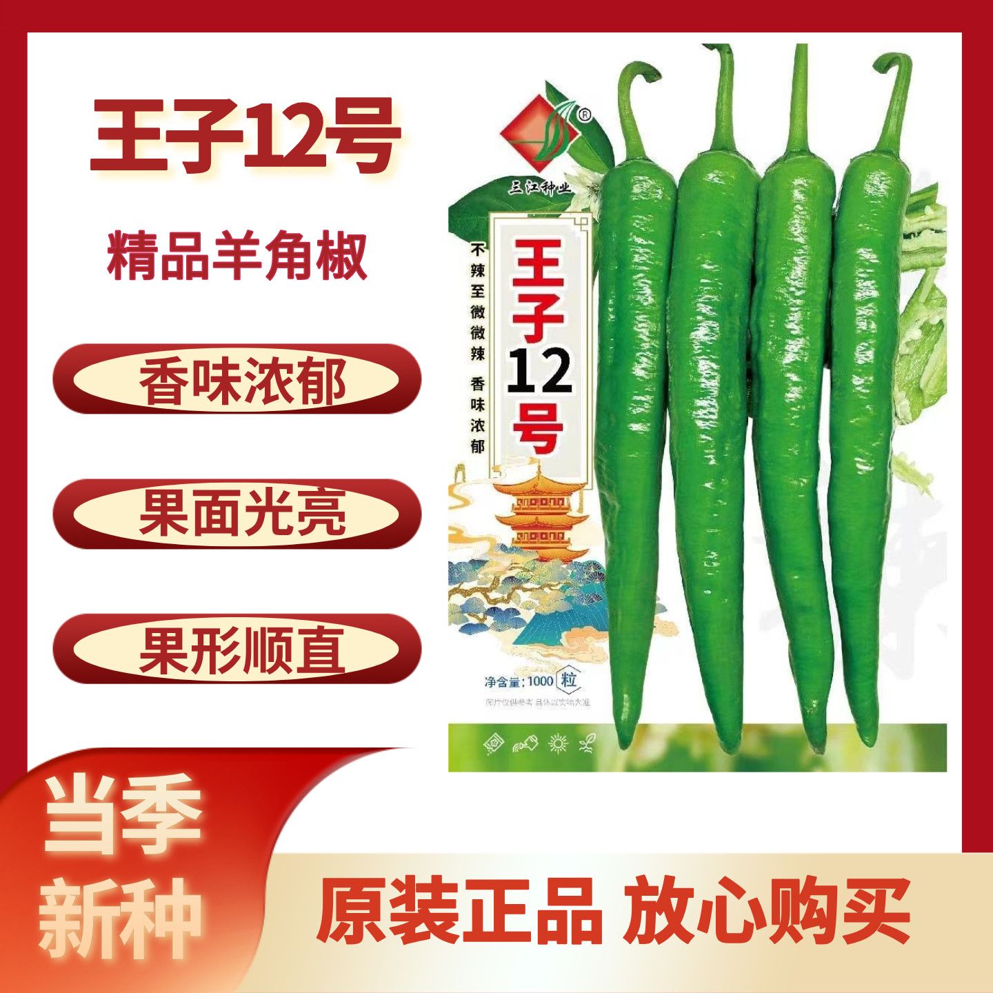 王子12号青皮羊角椒种子中早熟薄皮松软果翠绿光亮顺直不辣至微辣
