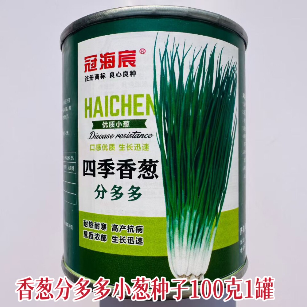 四季香葱分多多小葱种子叶色浓丰产耐储运农家菜园阳台盆栽葱种籽